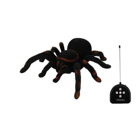 Паук РУ Cute Sunlight Toys Tarantula