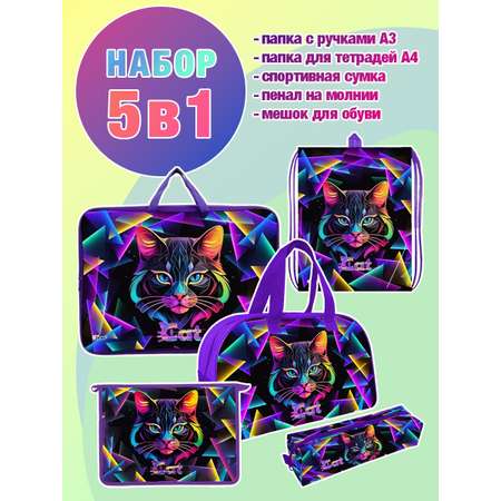 Набор школьника Отличник 5 предм.