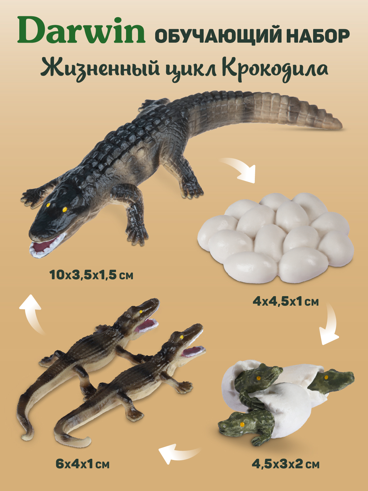 Игровой набор DARWIN Животные Крокодил - фото 3
