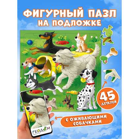 Пазл ГЕОДОМ