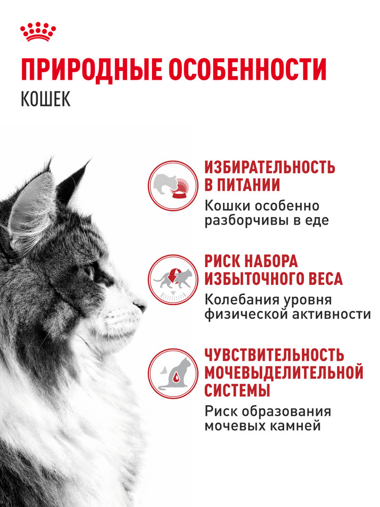 Корм влажный для кошек ROYAL CANIN Instinctive 85г желе пауч 77848 - фото 2