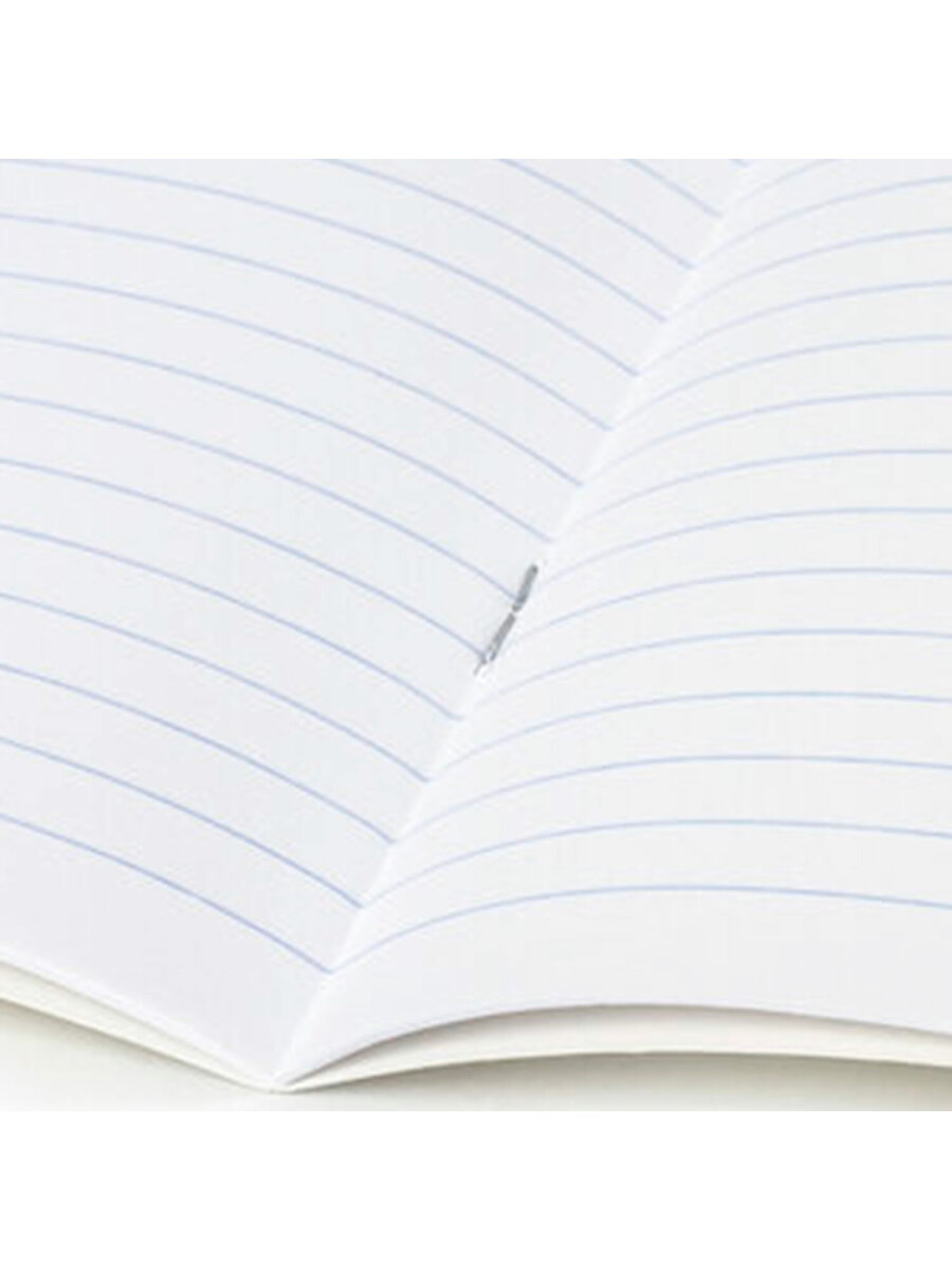 Общая тетрадь Brauberg линейка 24 лист. 20 шт. - фото 5