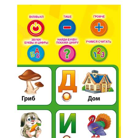 Игрушка Рыжий кот Азбука, звуки и счёт