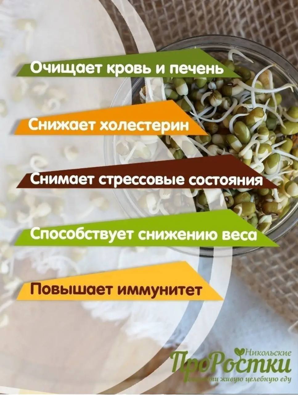 Семена для микрозелени Никольские ПроРостки бобы Мунг - фото 4