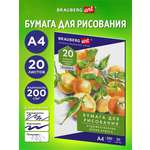 Художественная бумага Brauberg 20 лист.