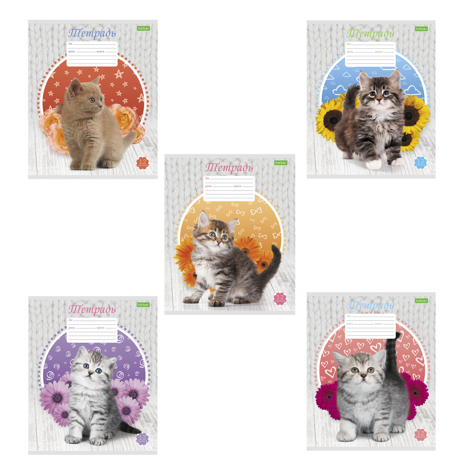 Тетрадь Hatber клетка 12 лист. в ассортименте - фото 1