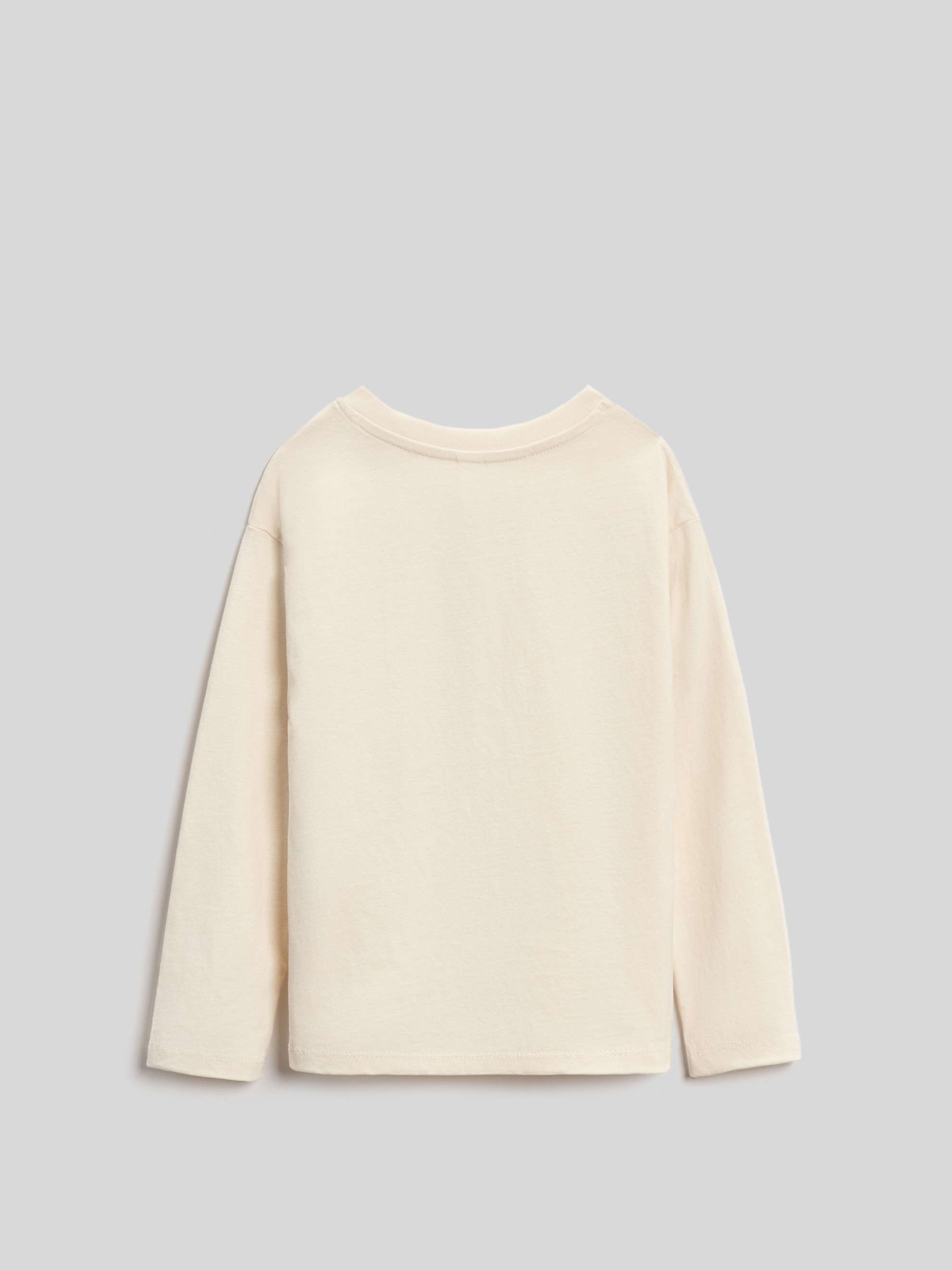 Лонгслив Acoola 20120830006_0092484 - фото 5