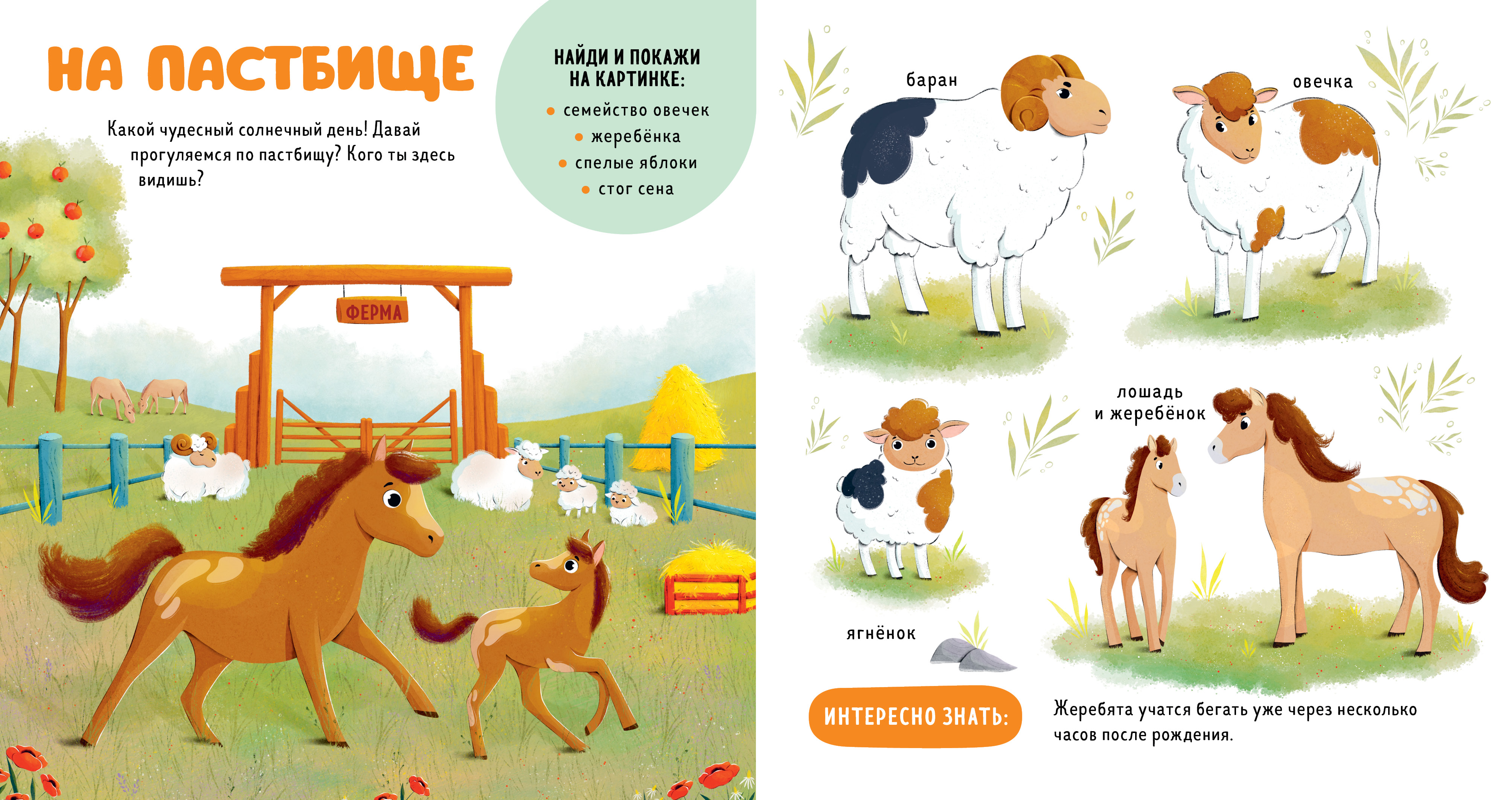 Главная книга малыша Clever Домашние животные - фото 2