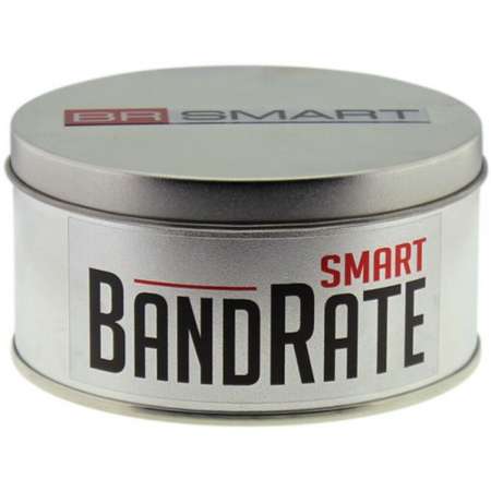 Смарт-часы BandRate Smart BandRate Smart BRSTT10PP