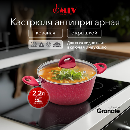 Кастрюля для индукционных плит с крышкой Moulin Villa Granate 2, 2 литра