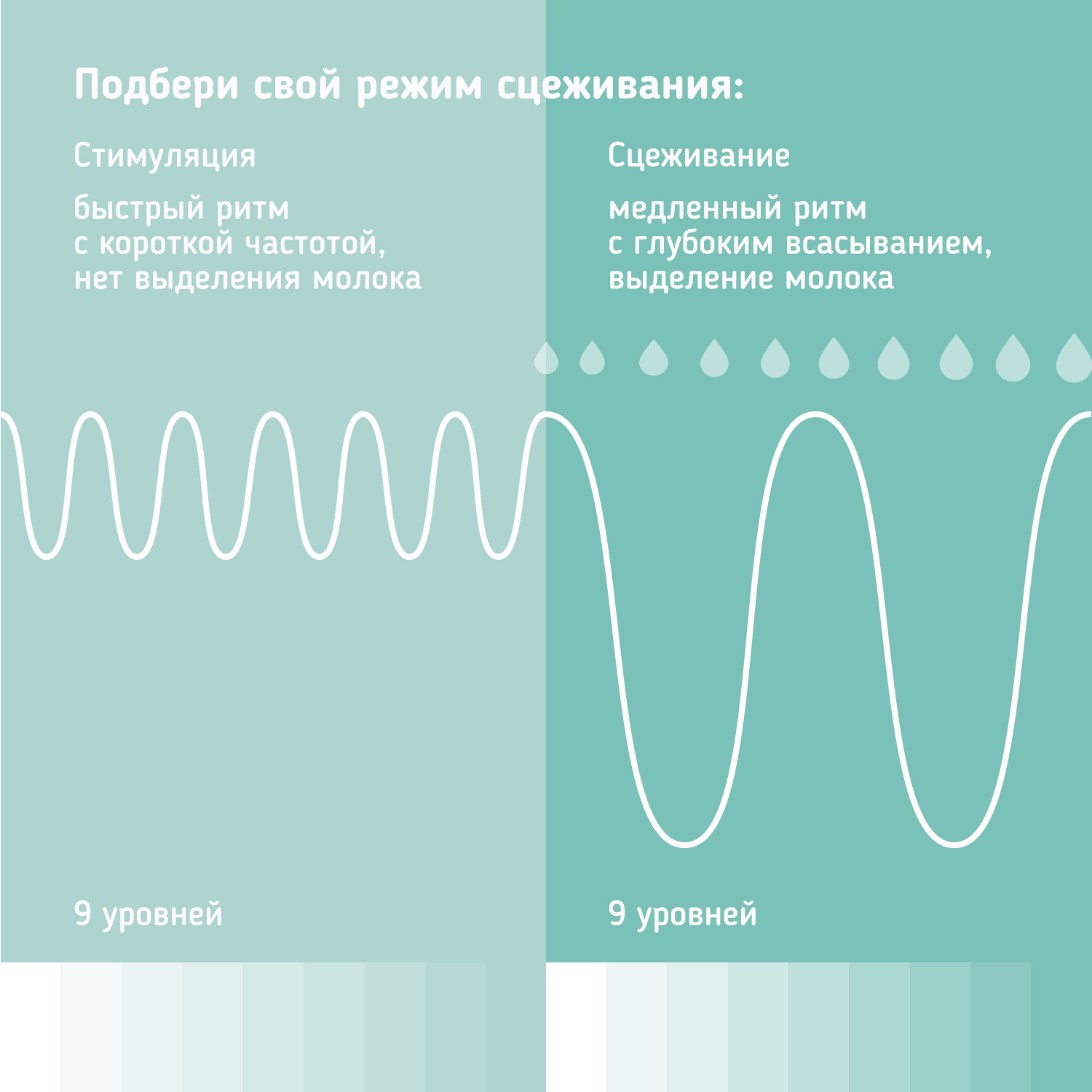 Электронный молокоотсос Zabota2 мобильный двухфазный с бутылочкой для кормления 9 уровней - фото 16
