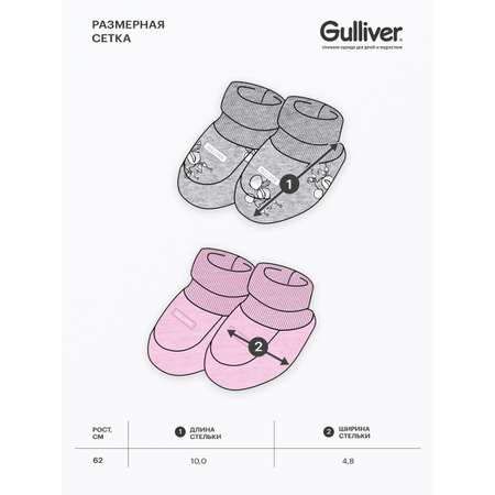 Пинетки 2 шт Gulliver