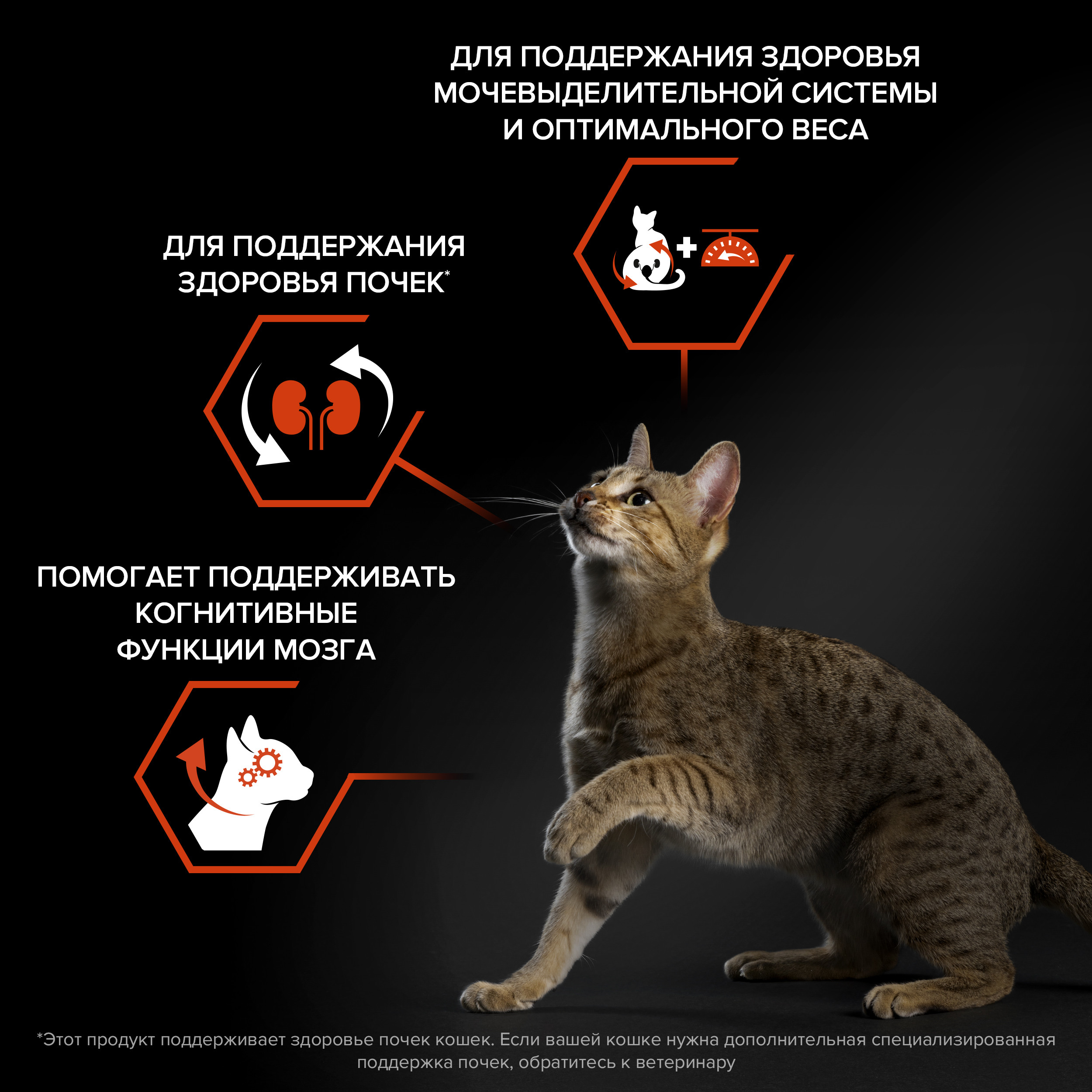 Корм сухой для кошек PRO PLAN 1.5кг с лососем при стерилизации и кастрации для поддержания органов чувств - фото 3