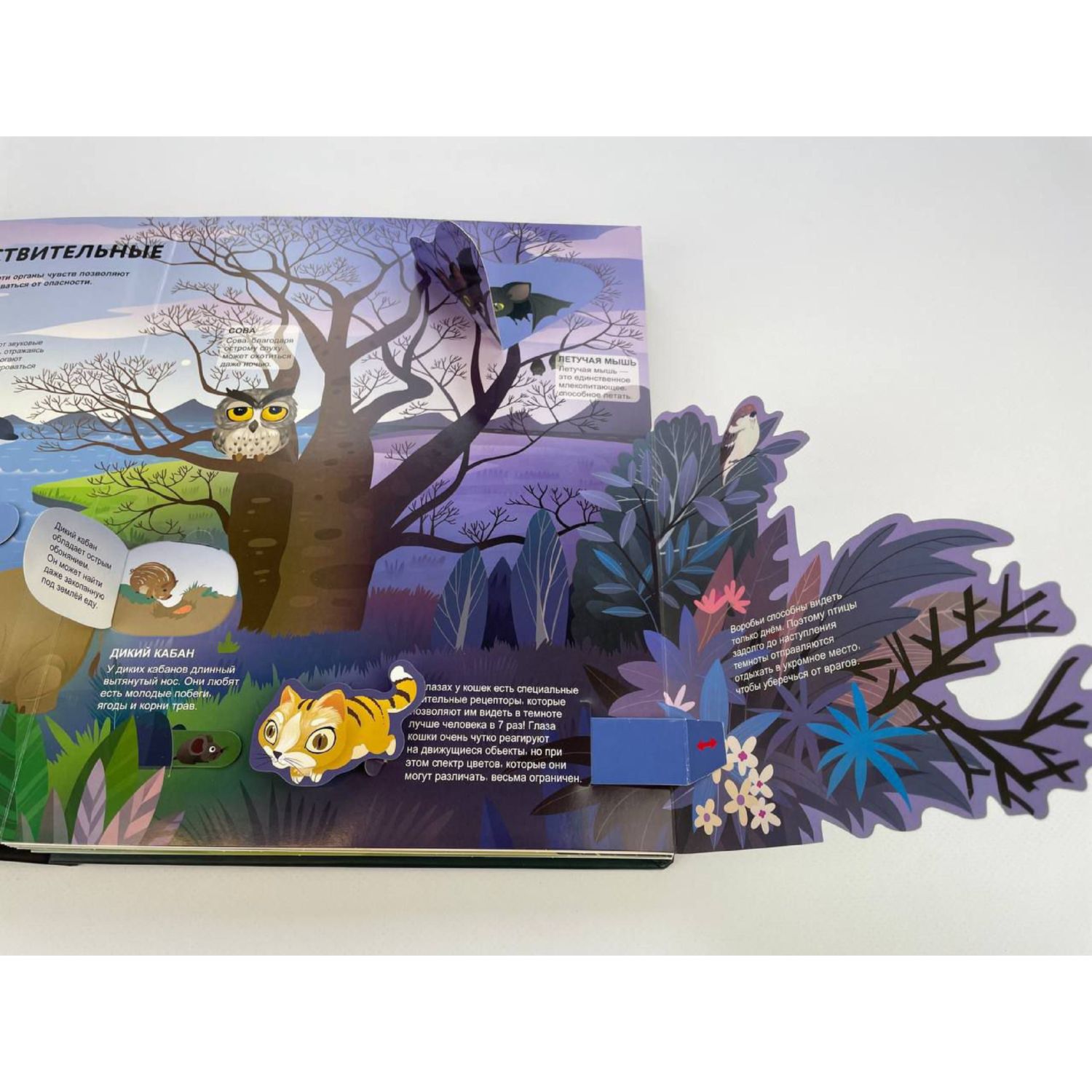 Книга Эксмо Удивительные животные Большая 3D энциклопедия - фото 8
