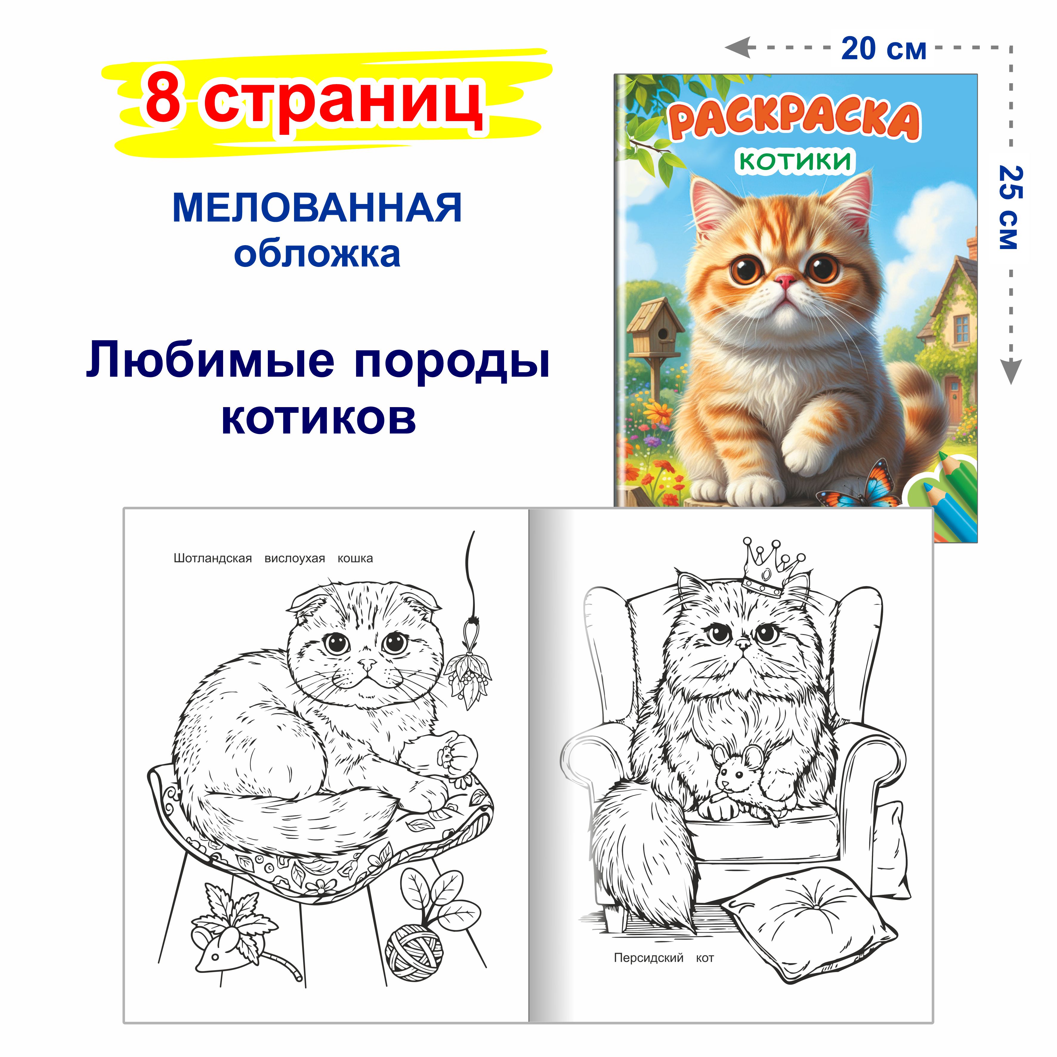 Котики Леда собачки - фото 2