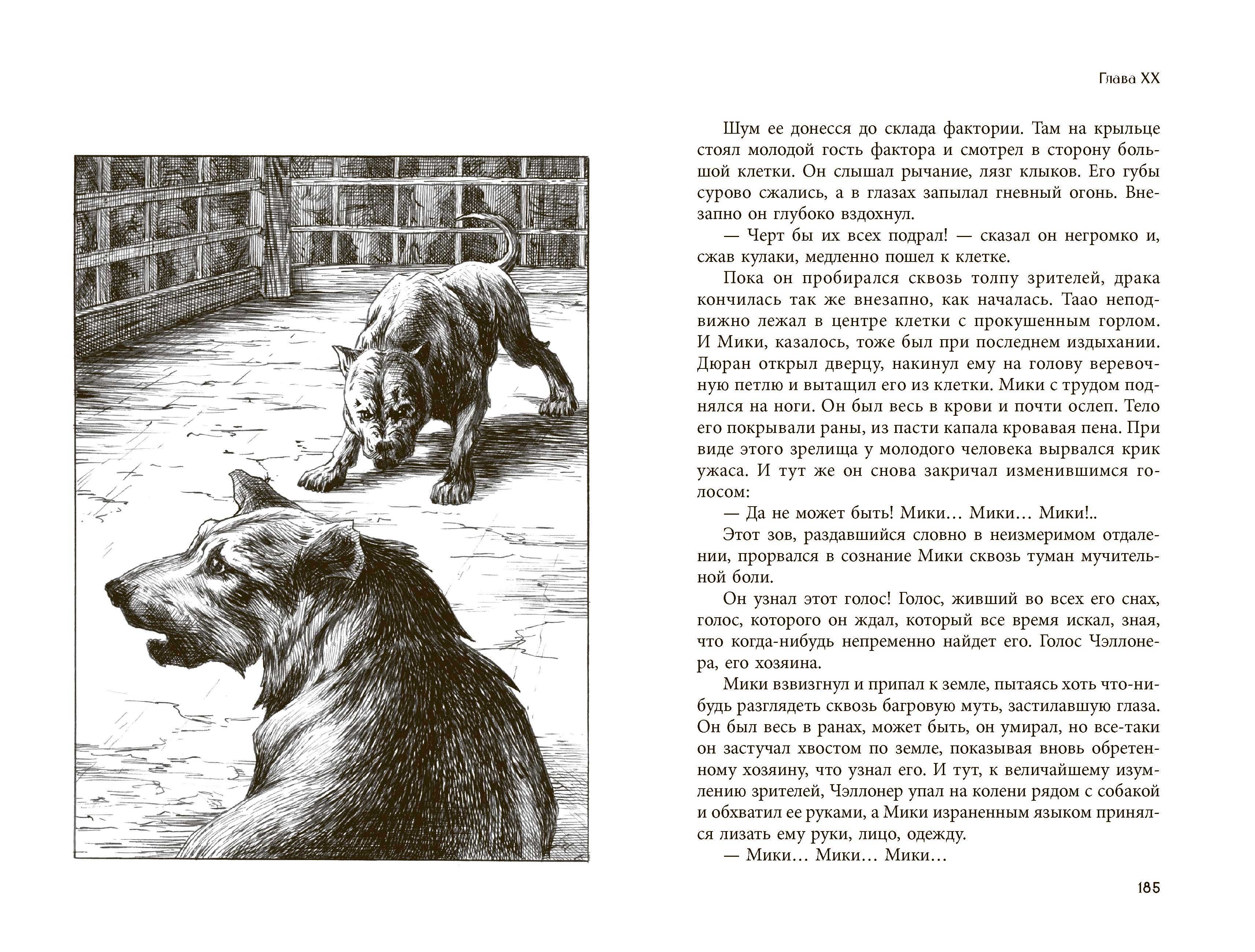 Книга Качели Бродяги Севера - фото 7