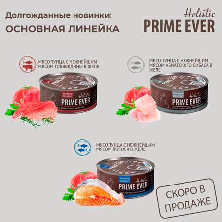 Корм для кошек Prime Ever тунец с лососем в желе влажный 0.08кг