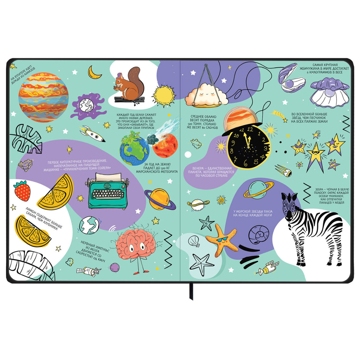 Дневник школьный Brauberg для девочек мальчика 1-11 класс - фото 7