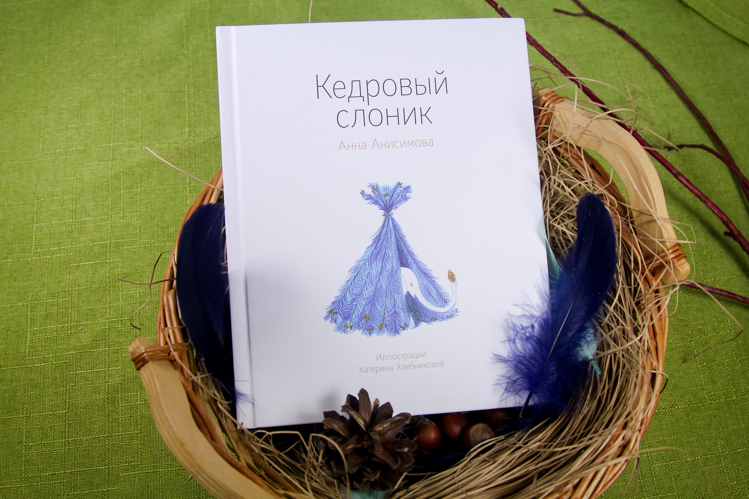 Книга Волчок Кедровый слоник - фото 5