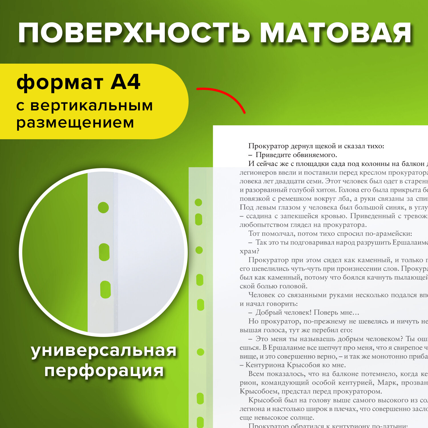 Файл Staff А4 - фото 2