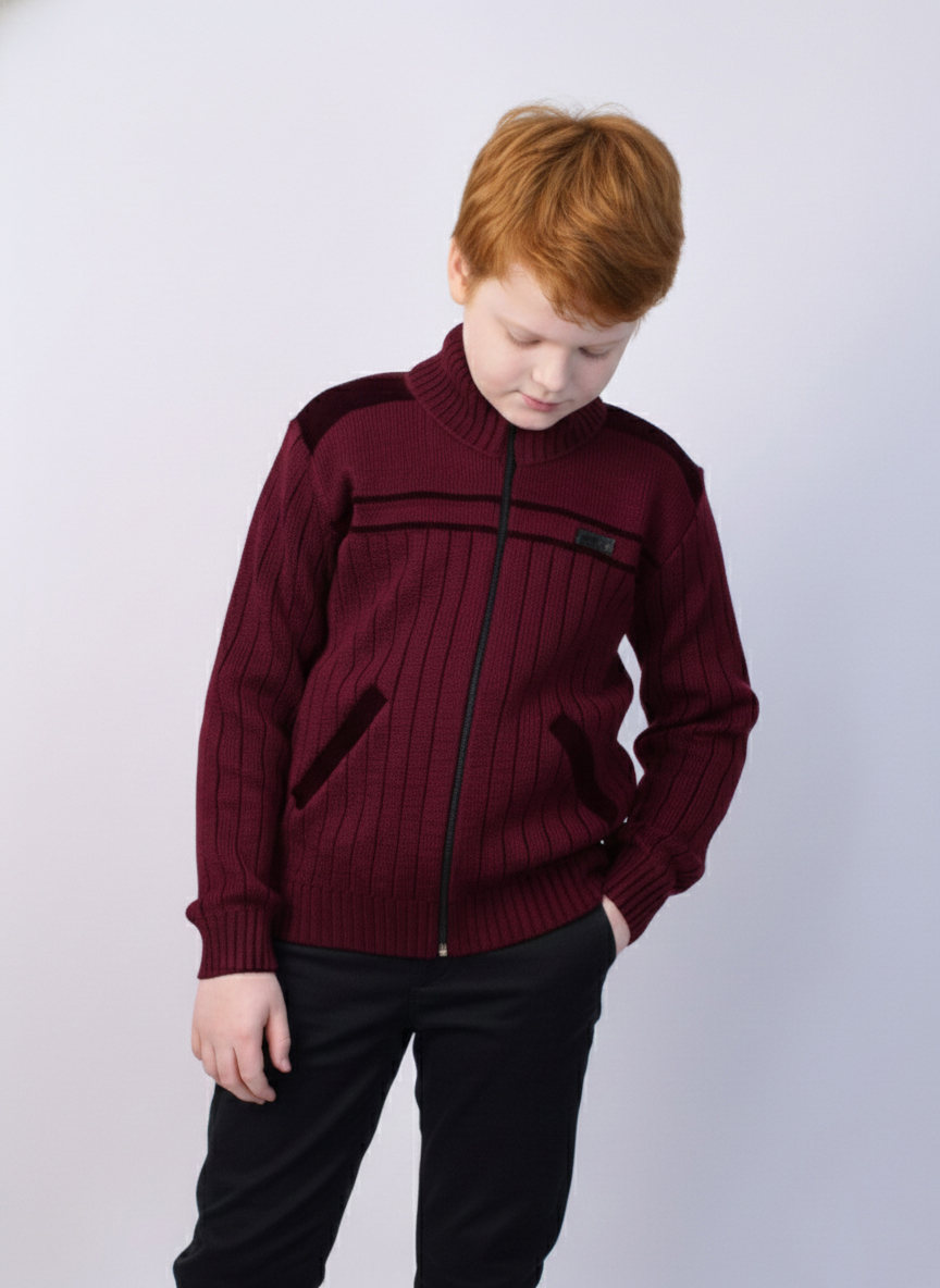 Толстовка AS TEKS VIT-001/бордовый - фото 1