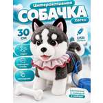 Мягкая игрушка FAVORITSTAR DESIGN Умный щенок хаски
