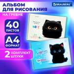 Альбом Brauberg А4 40 лист. 2 шт.