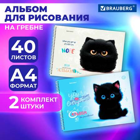 Альбом Brauberg А4 40 лист. 2 шт.