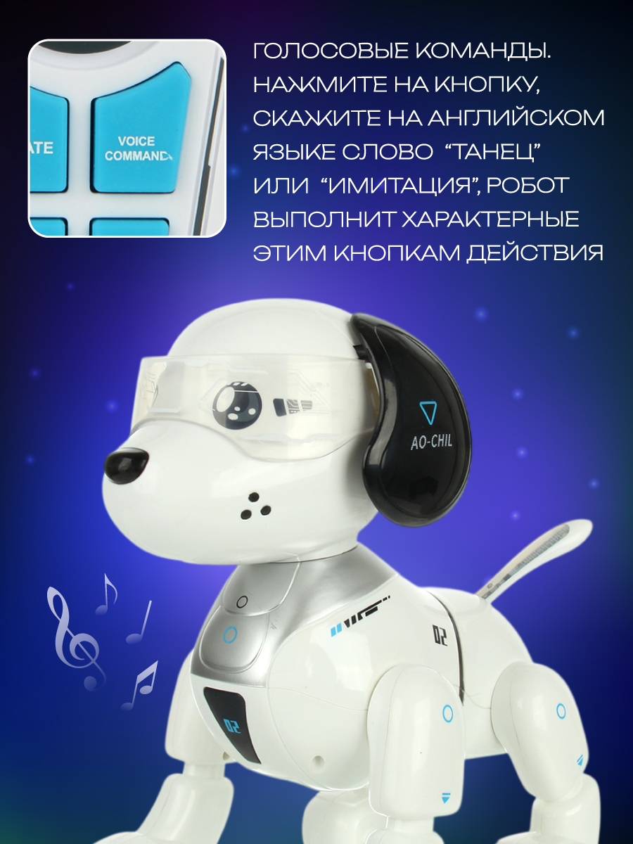 Собака РУ Veld Co - фото 5