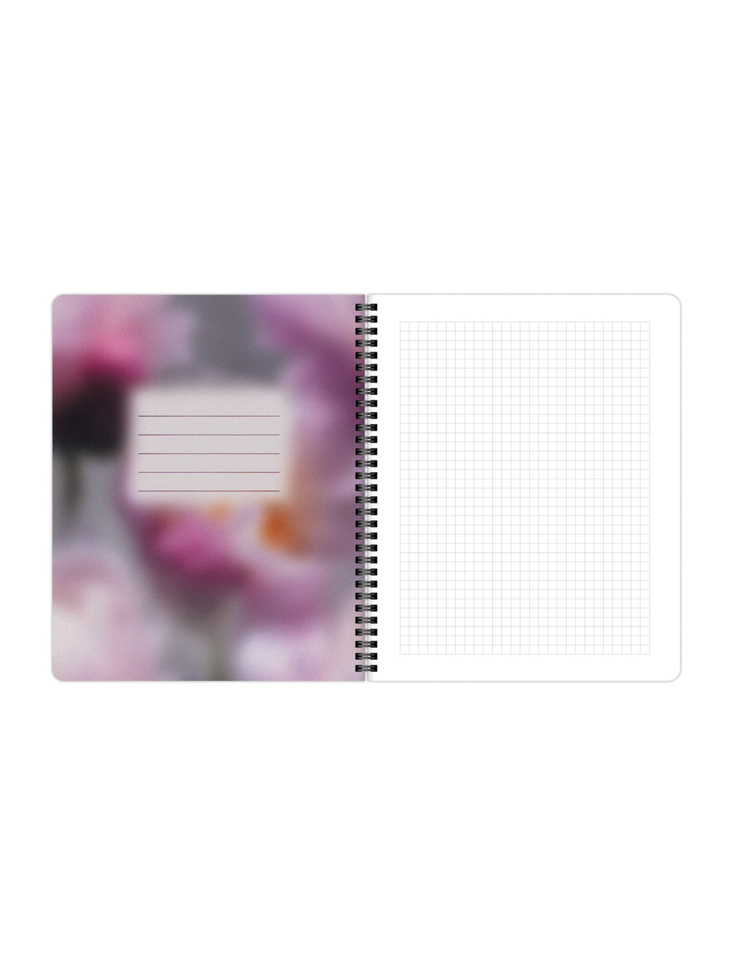 Общая тетрадь Brauberg клетка 96 лист. 4 шт. - фото 15