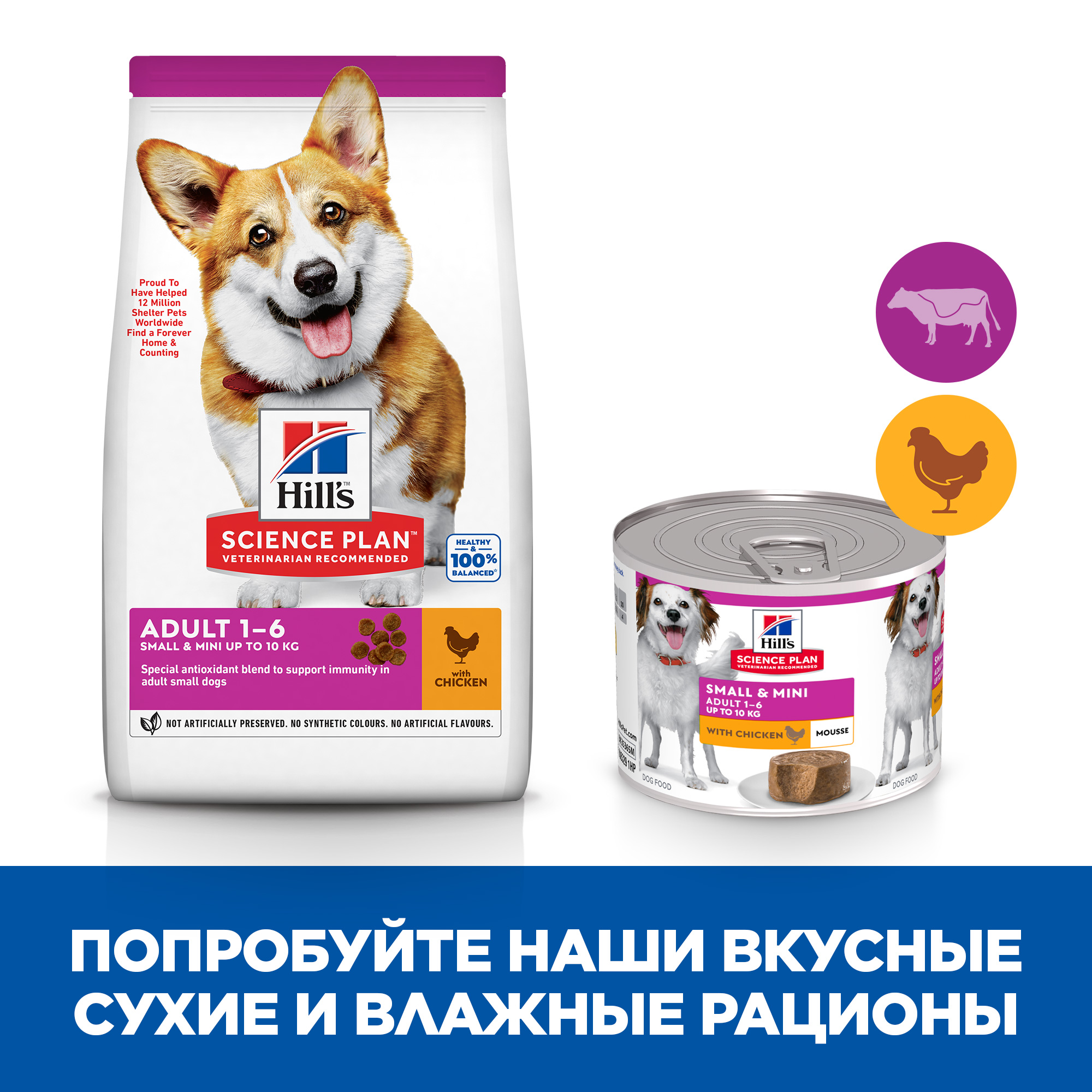 Корм для собак Hills 200г Science Plan Small and Mini для мелких пород с курицей ж/б - фото 7