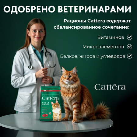Корм сухой для кошек Cattera полнорационный для котят с 1 месяца, беременных и кормящих кошек с курицей 0,3