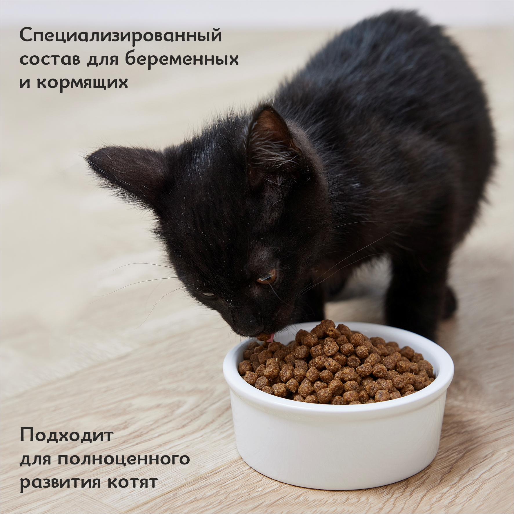 Корм для котят Roybis сухой полнорационный для активного роста и развития с курицей 0.4кг - фото 5