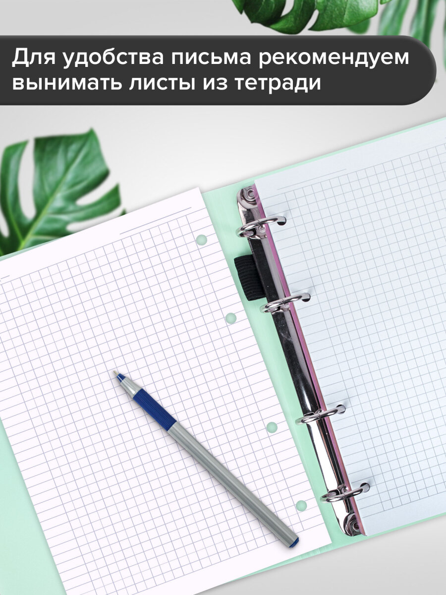Тетрадь со сменным блоком Brauberg клетка 120 лист. - фото 3
