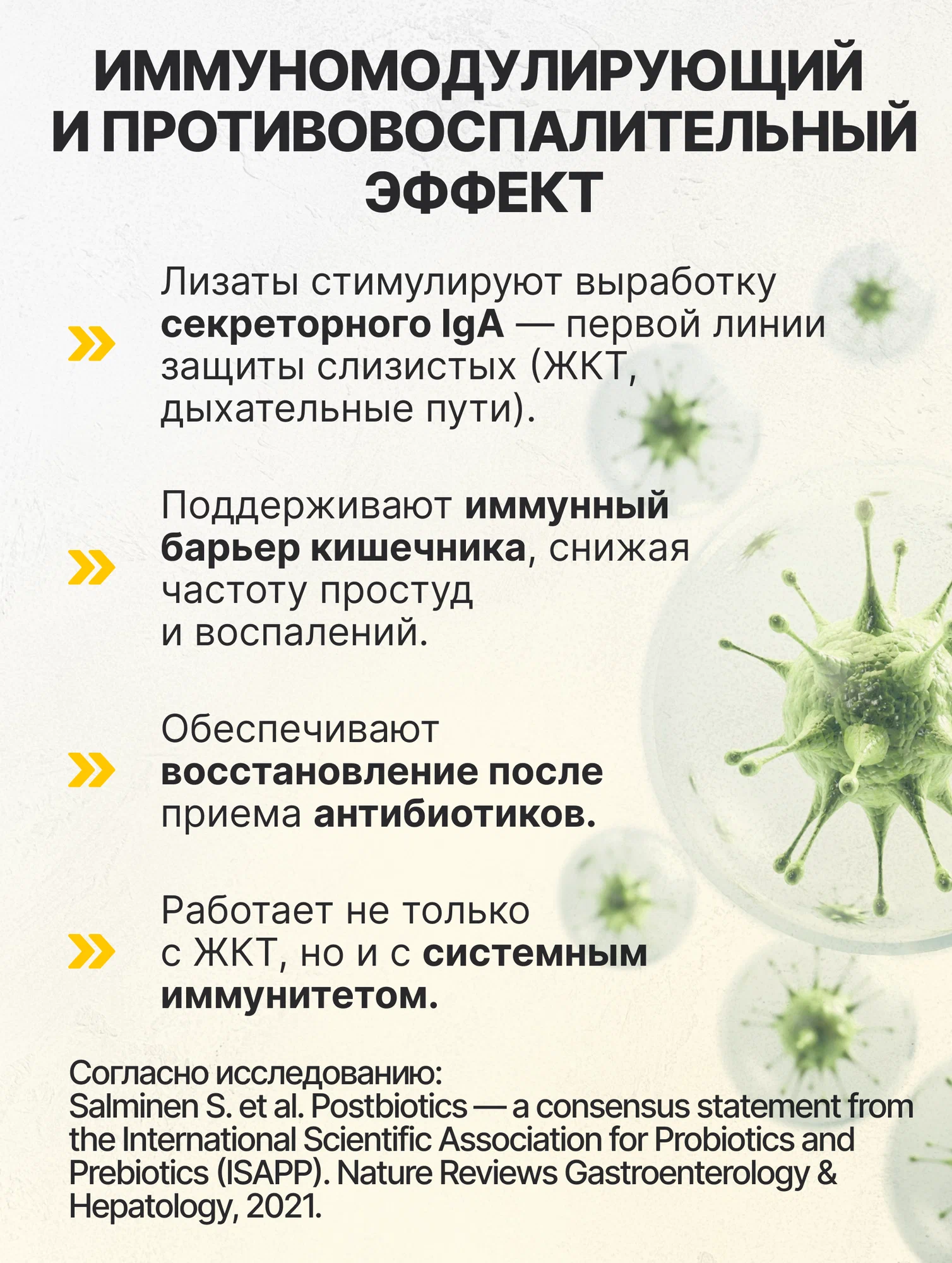 Биологически активная добавка VitaMeal Пробиотики и Пребиотики комплекс с Инулином для ЖКТ 60 капсул - фото 4