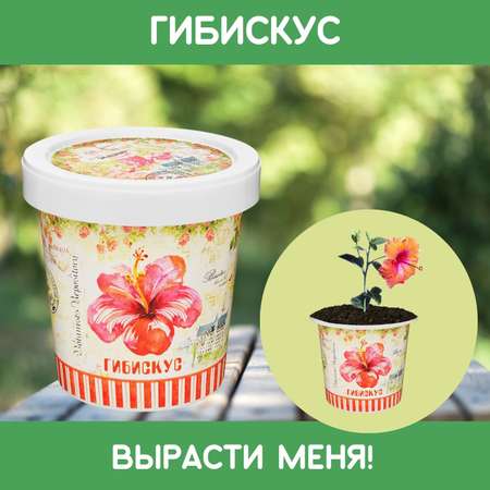 Набор для выращивания Rostok Visa