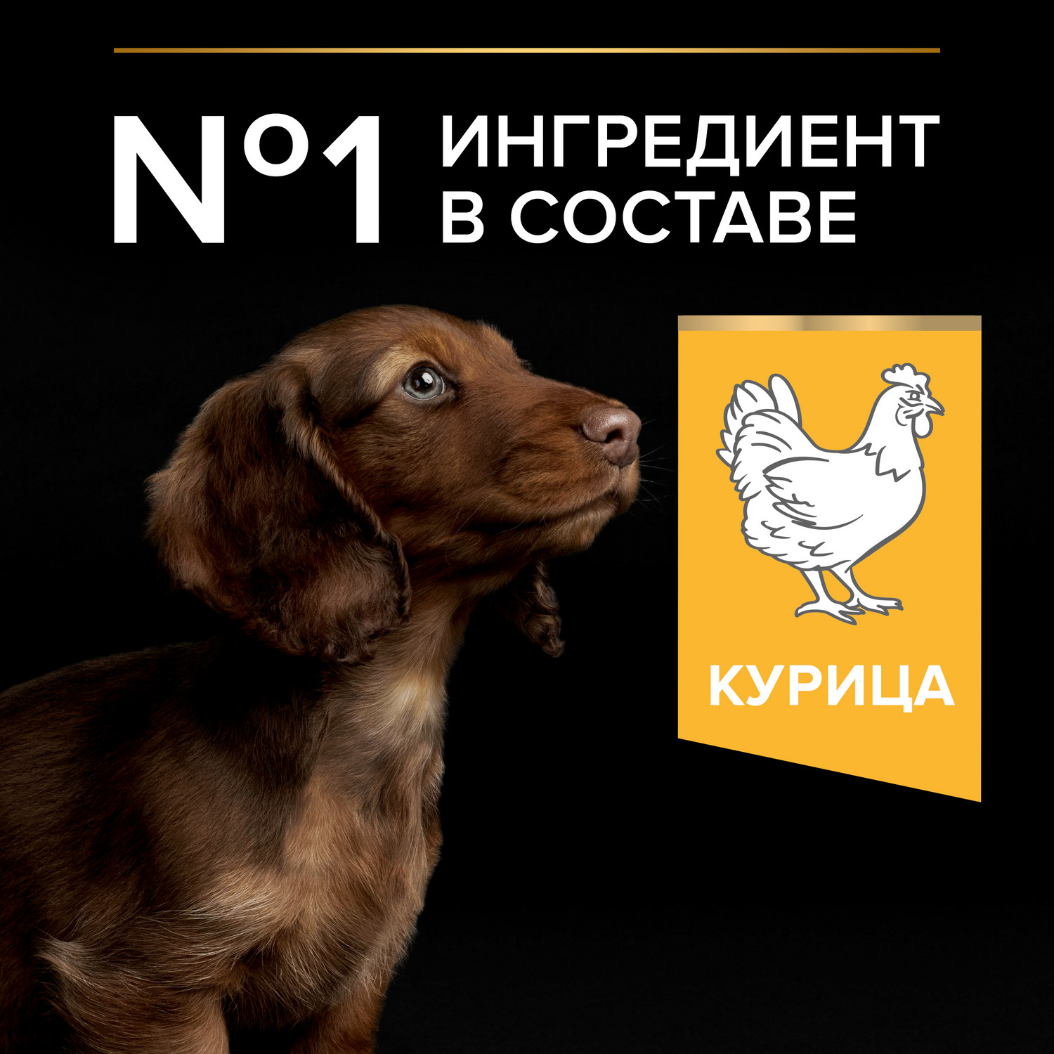 Корм для щенков PRO PLAN мелких и миниатюрных пород с комплексом Optistart с курицей и рисом 3кг - фото 3