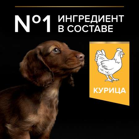 Корм для щенков PRO PLAN мелких и миниатюрных пород с комплексом Optistart с курицей и рисом 3кг