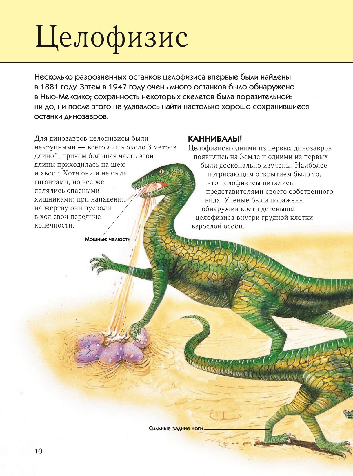 Книга ЭКСМО-ПРЕСС Динозавры Полная энциклопедия - фото 8