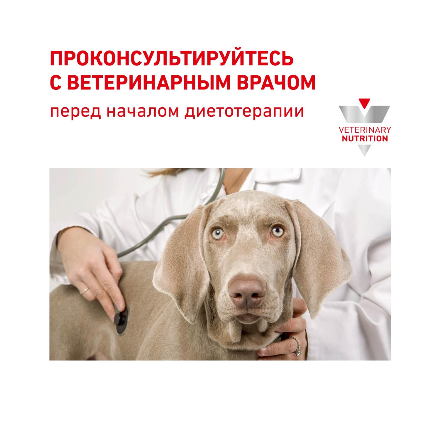 Корм для собак ROYAL CANIN Mobility c2p+ при заболеваниях опорно-двигательного аппарата 400г - фото 7