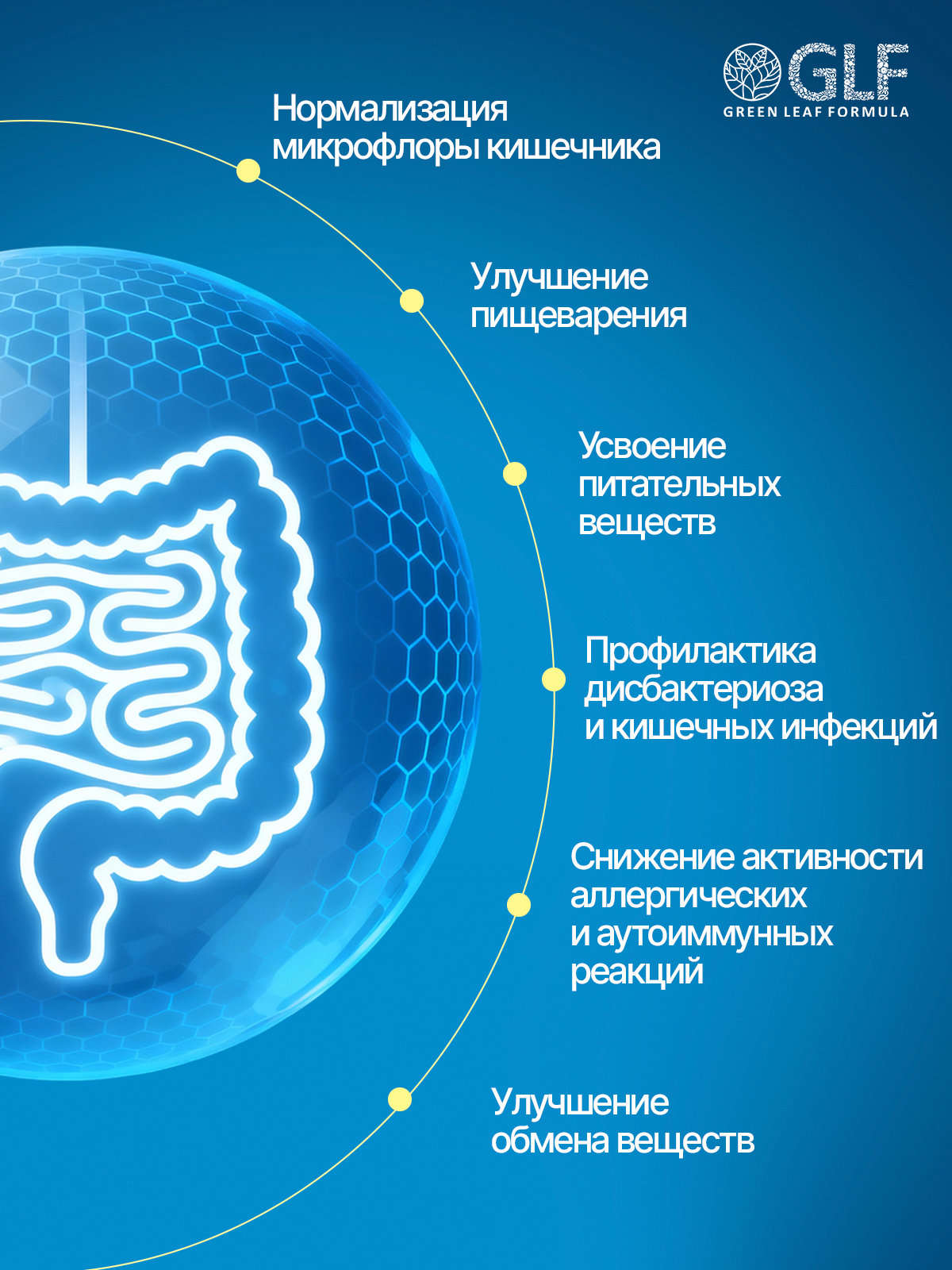 Метабиотик и лактаза Green Leaf Formula пребиотики пробиотики для кишечника для пищеварения - фото 3