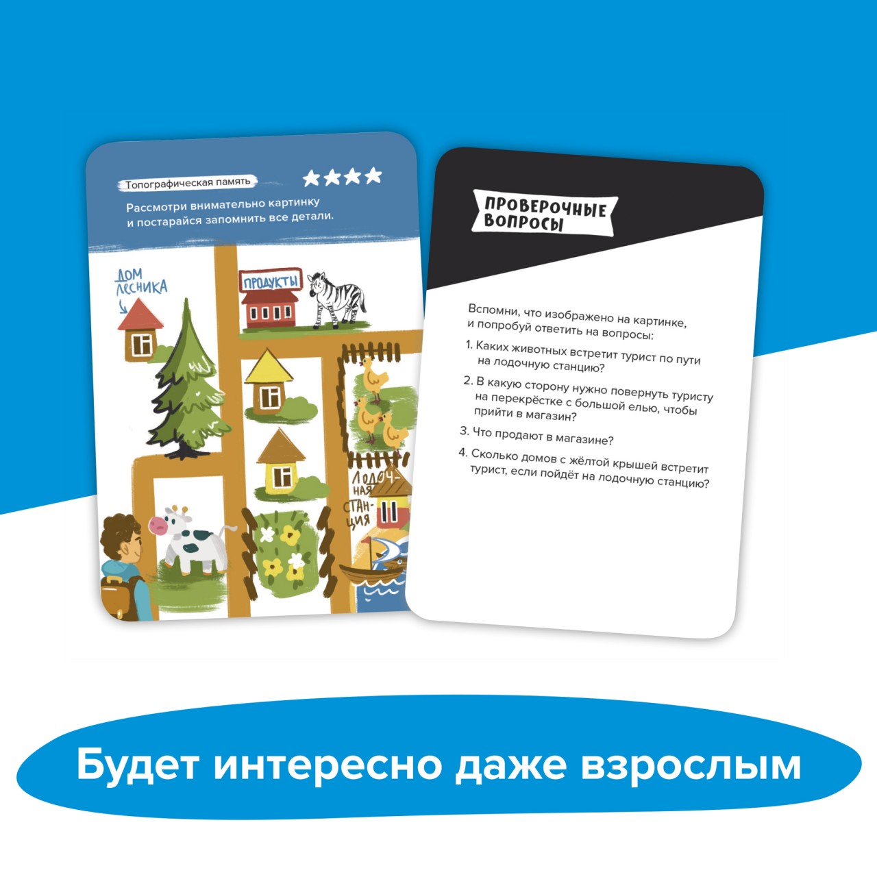 Настольная игра Brainy Trainy Развитие памяти - фото 9