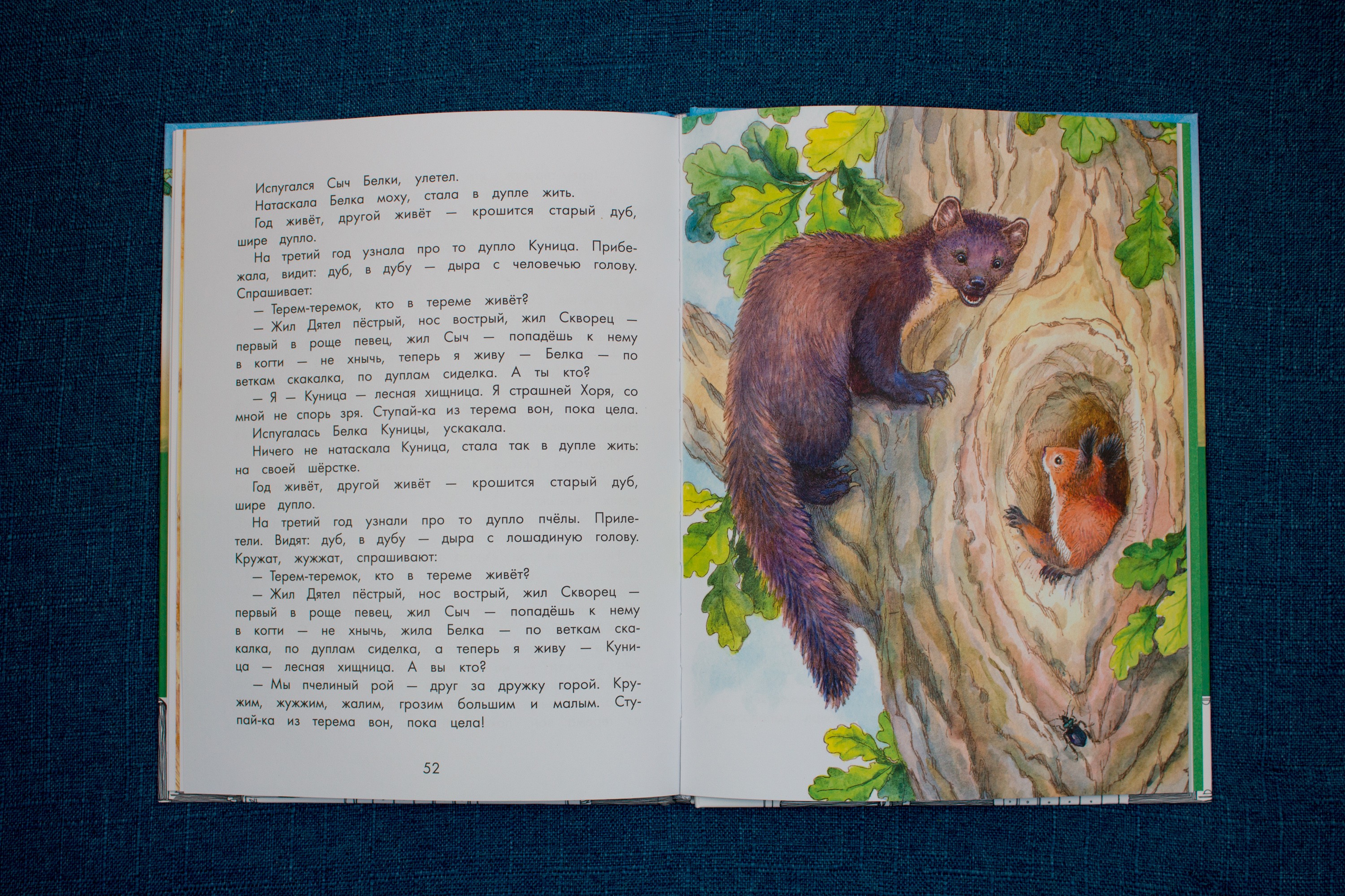 Книга Качели Про Мишку и Муравьишку Лесные рассказы - фото 3