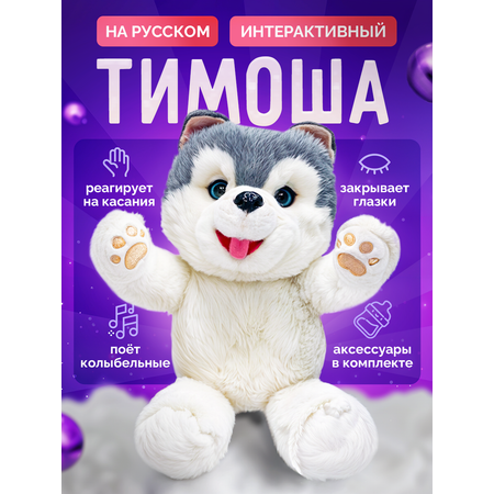 Мягкая игрушка SHARKTOYS собачка