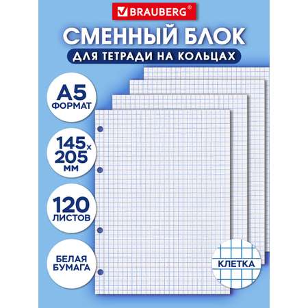 Тетрадь со сменным блоком Brauberg клетка 120 лист.