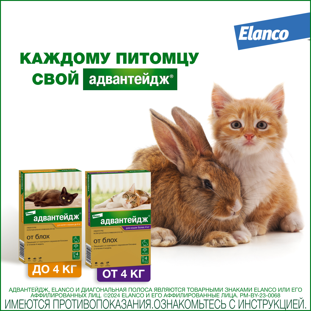 Препарат инсектоакарицидный для кошек Elanco Адвантейдж 0.4мл 4пипетки - фото 11
