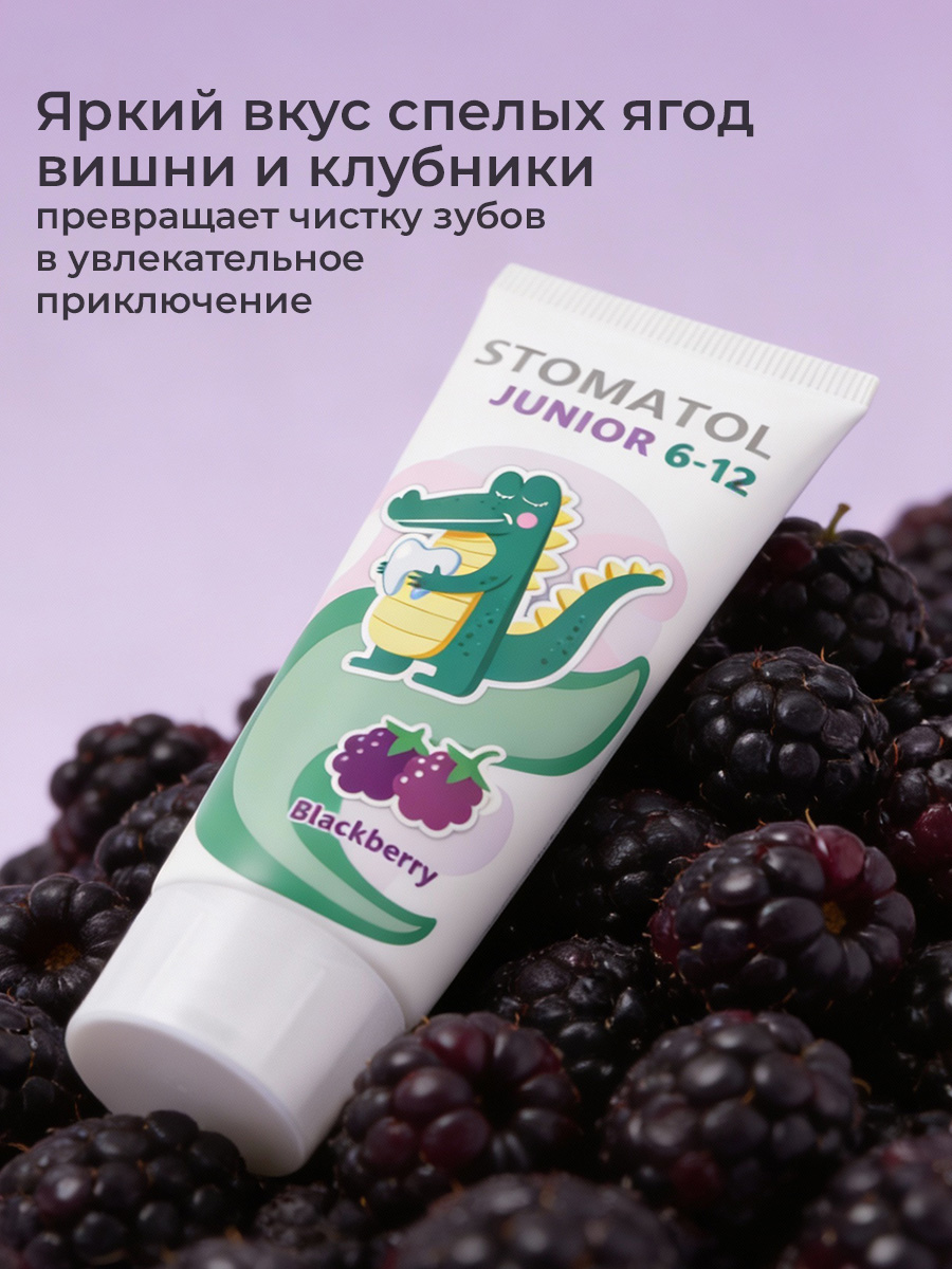 Зубная паста STOMATOL с фтором Ежевик 75 г - фото 4