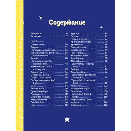 Книга Эксмо Театр теней Большая книга