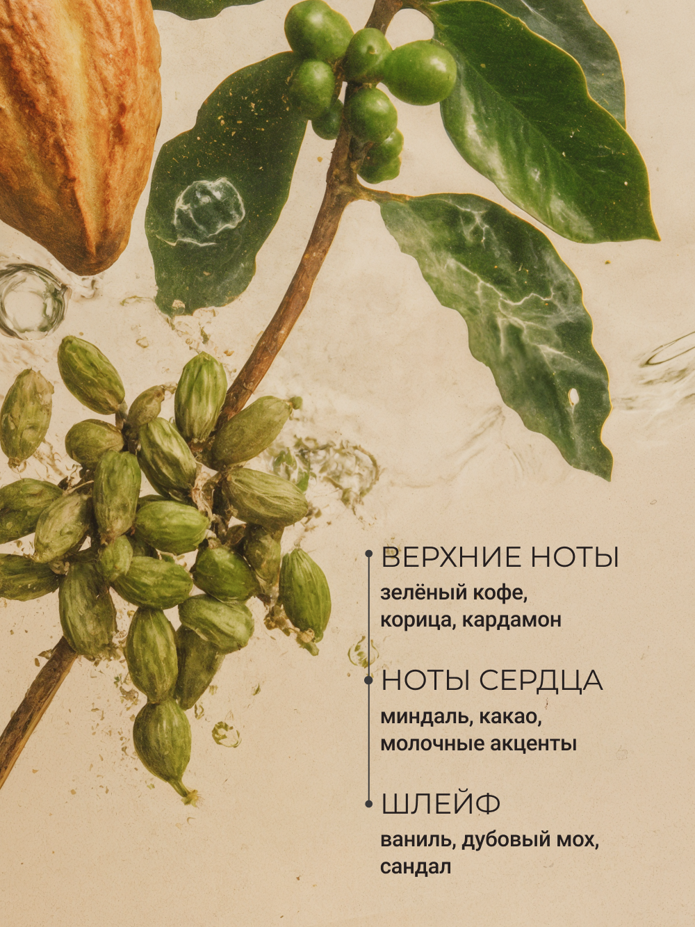 Масло Zeitun Ритуал совершенства 110 мл - фото 4