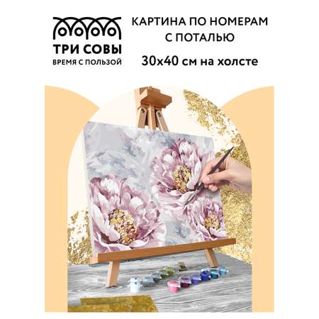 Картина по номерам ТРИ СОВЫ